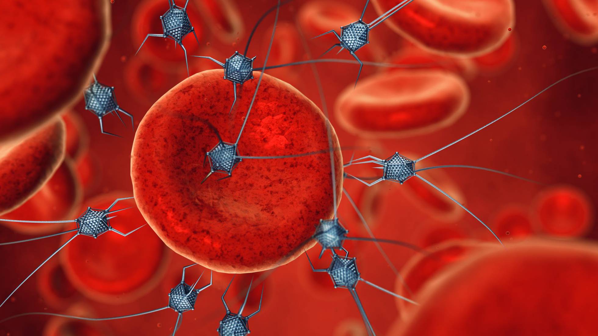 Recreación artística de nanorrobots actuando sobre células de la sangre Recreación artística de nanorrobots actuando sobre células de la sangre