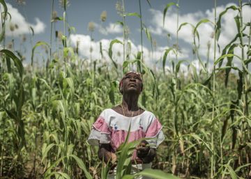 La maleta climática La maleta climática