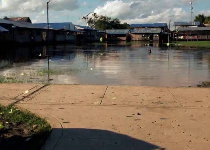 La selva se volvió a teñir de negro La selva se volvió a teñir de negro