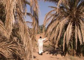 Gobernanza del agua: ni realismo mágico ni esperanzas ilusorias