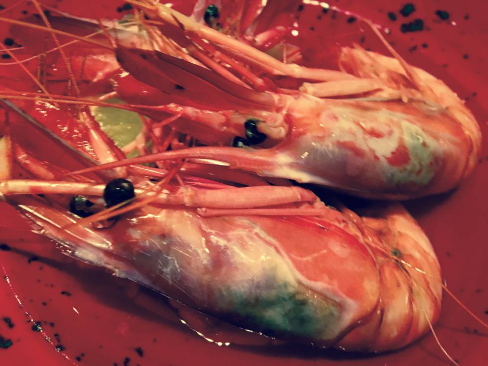 GAMBAS DE DENIA JOSÉ CARLOS CAPEL
