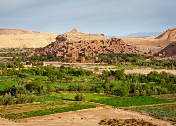 Luchar contra el desierto en plena cumbre del clima