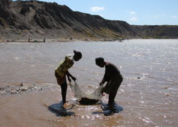 Y ahora, ¿qué hago yo con mi móvil?