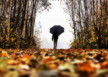 Las imágenes del martes