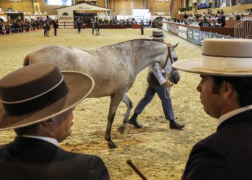 Salón Internacional del Caballo de Pura Raza Española