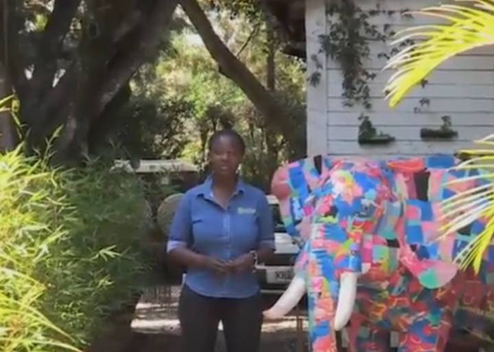 Belleza en la basura Belleza en la basura