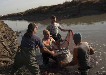Laura León Gómez, premio Andalucía de Periodismo