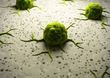 China prueba por primera vez en humanos la ‘superedición’ de genes contra el cáncer China prueba por primera vez en humanos la ‘superedición’ de genes contra el cáncer