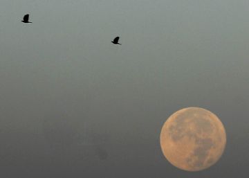Vista de la la Superluna. 