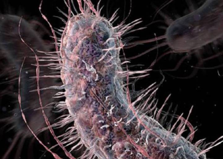 Encuentran una superbacteria inmune al antibiótico más potente Encuentran una superbacteria inmune al antibiótico más potente