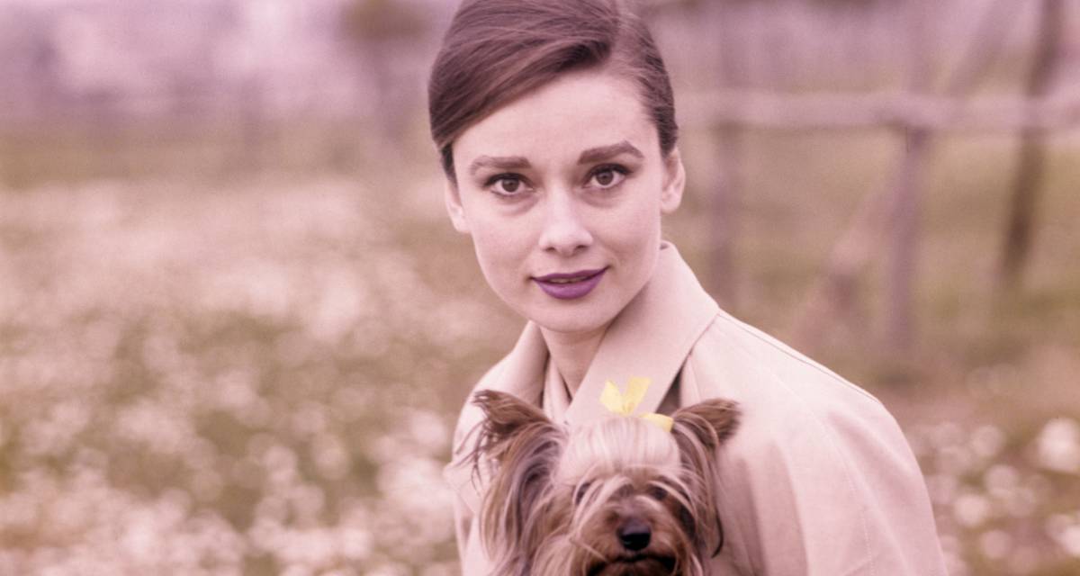 La actriz Audrey Hepburn. La actriz Audrey Hepburn.
