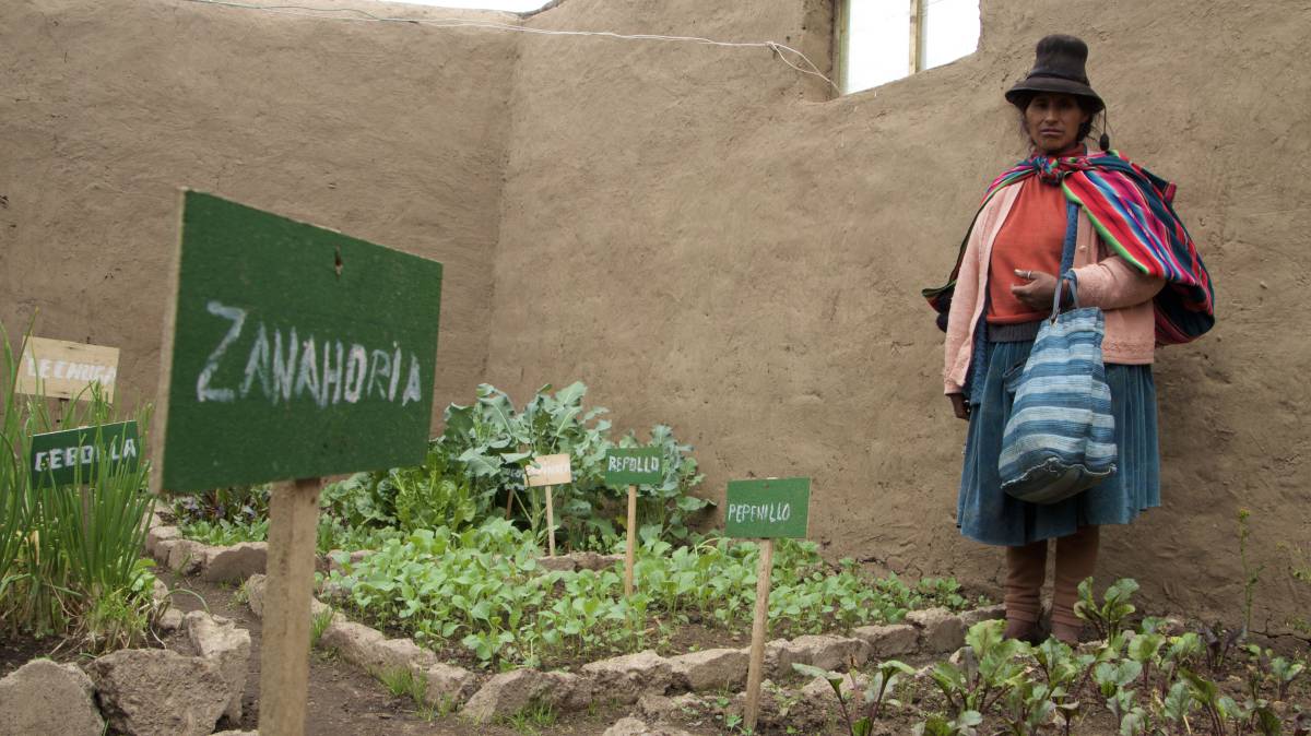 Pascuala Trujillo muestra su ‘fitotoldo’ con los espacios separados para los diferentes cultivos de verduras y hortalizas.