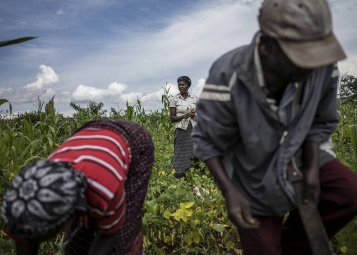 Transformación rural inclusiva contra el hambre Transformación rural inclusiva contra el hambre