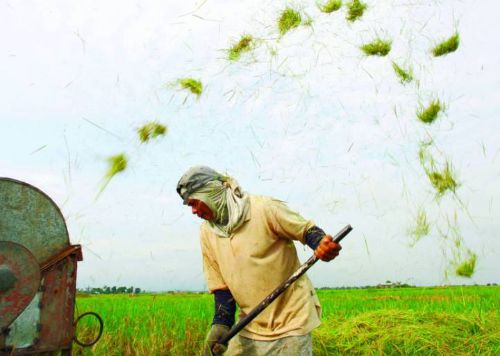 No por mucho producir se termina la pobreza No por mucho producir se termina la pobreza