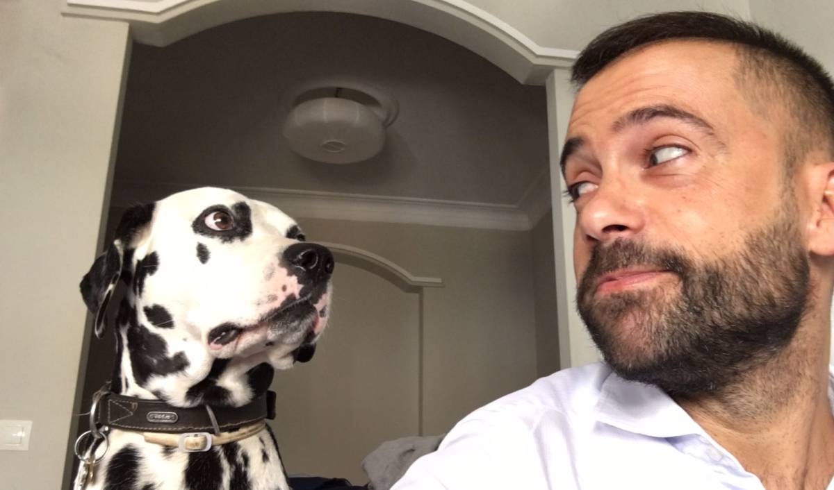 ¡Ojo! Tu perro se acuerda de todo lo que haces (y lo hará)