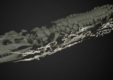 La momia de un cocodrilo de 2.500 años alberga 47 crías en su interior La momia de un cocodrilo de 2.500 años alberga 47 crías en su interior