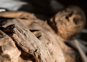 La momia de un niño reescribe la historia de la viruela