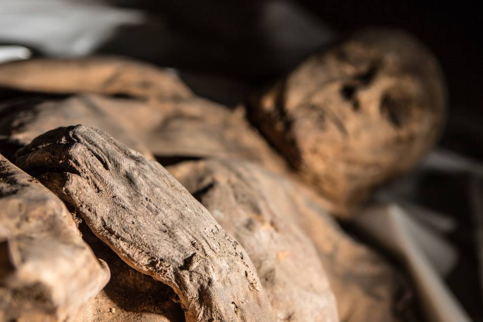 Una de las momias cuyo estudio ha permitido conocer el pasado de la tuberculosis o la viruela.