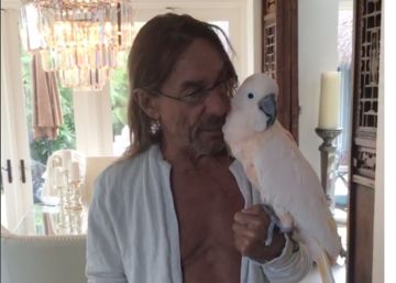 El Instagram de Iggy Pop con su cacatúa es lo mejor de 2016