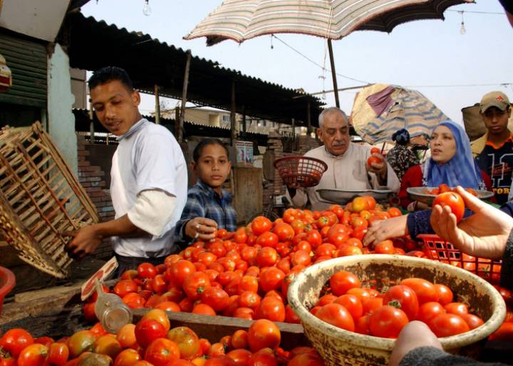 La alimentación, un derecho humano La alimentación, un derecho humano