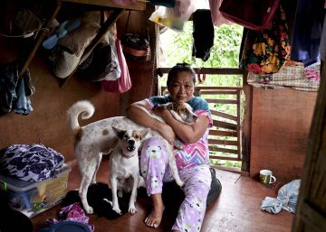 Vivir en ‘zona peligrosa’ Vivir en ‘zona peligrosa’