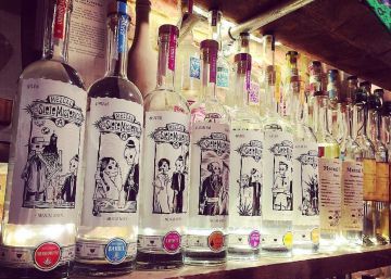 Mezcal, un placer milenario Mezcal, un placer milenario
