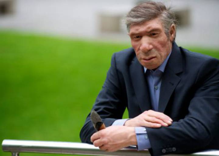 El cerebro humano es una máquina hecha con piezas recicladas El cerebro humano es una máquina hecha con piezas recicladas