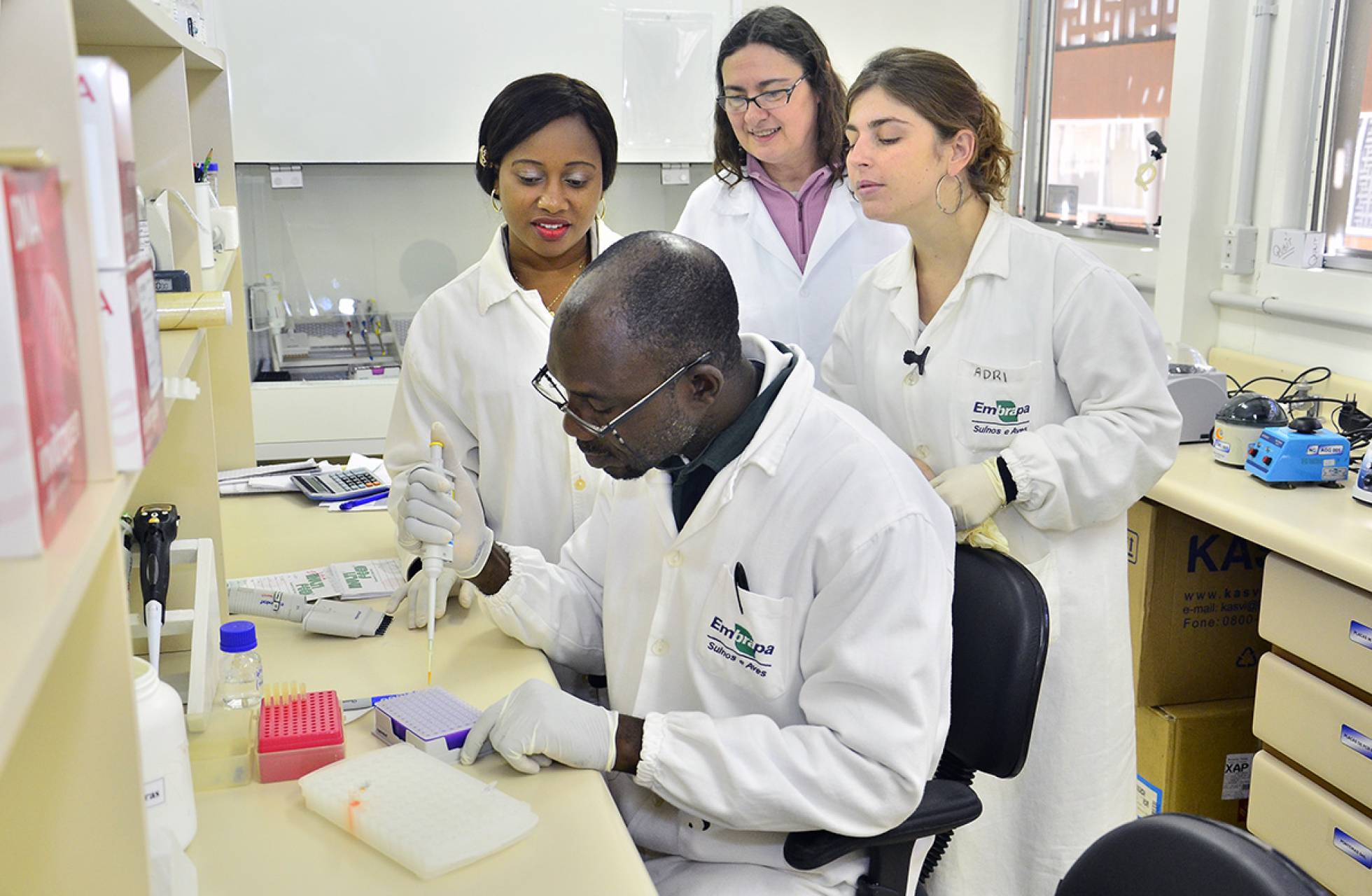 Científicos nigerianos reciben formación en un proyecto de genética molecular de pollos.