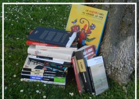 ¿Podemos hablar de los mejores 10 libros africanos de 2016? ¿Podemos hablar de los mejores 10 libros africanos de 2016?