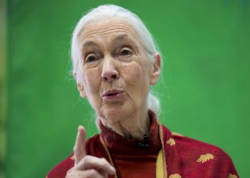 “Los jóvenes son el futuro porque entienden los problemas del planeta”
