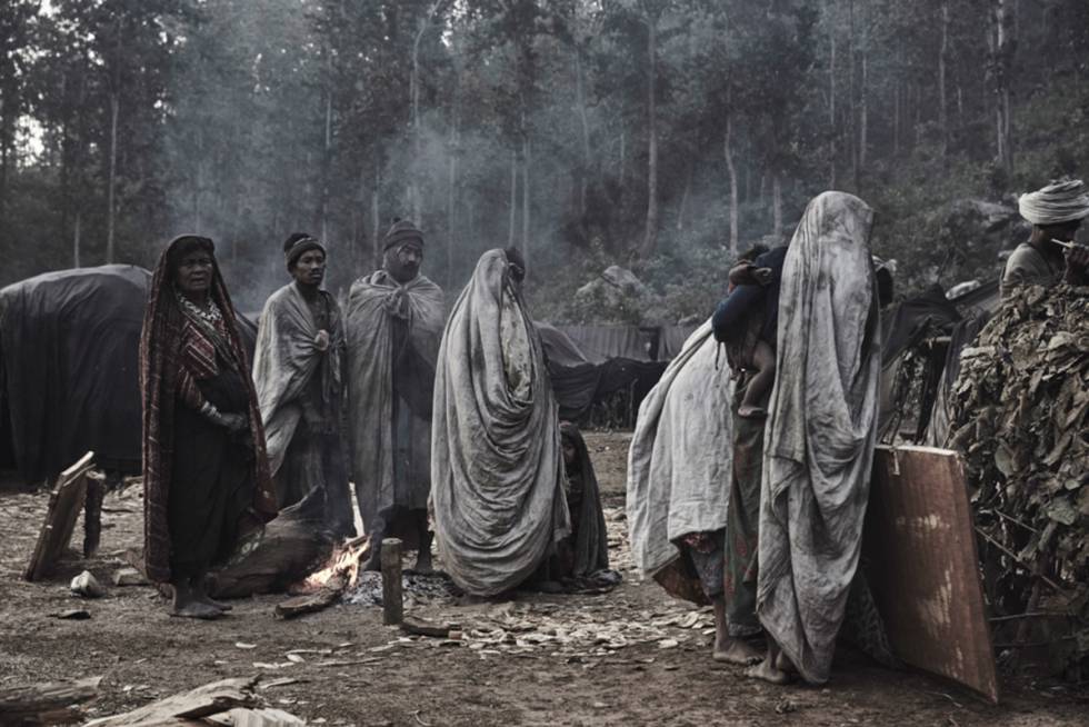 Los reyes de los bosques del Himalaya