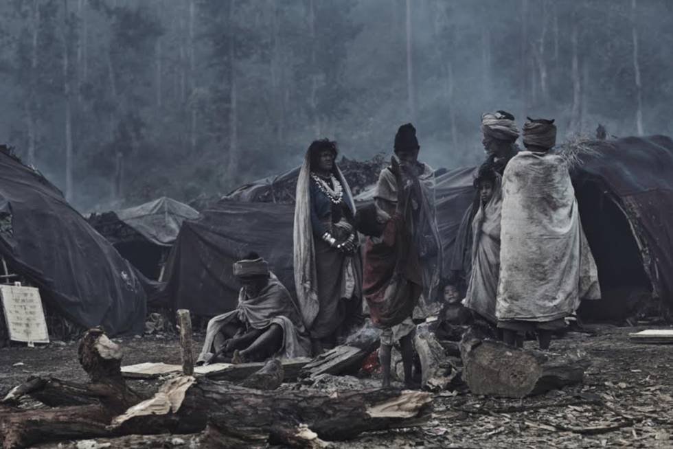 Los reyes de los bosques del Himalaya