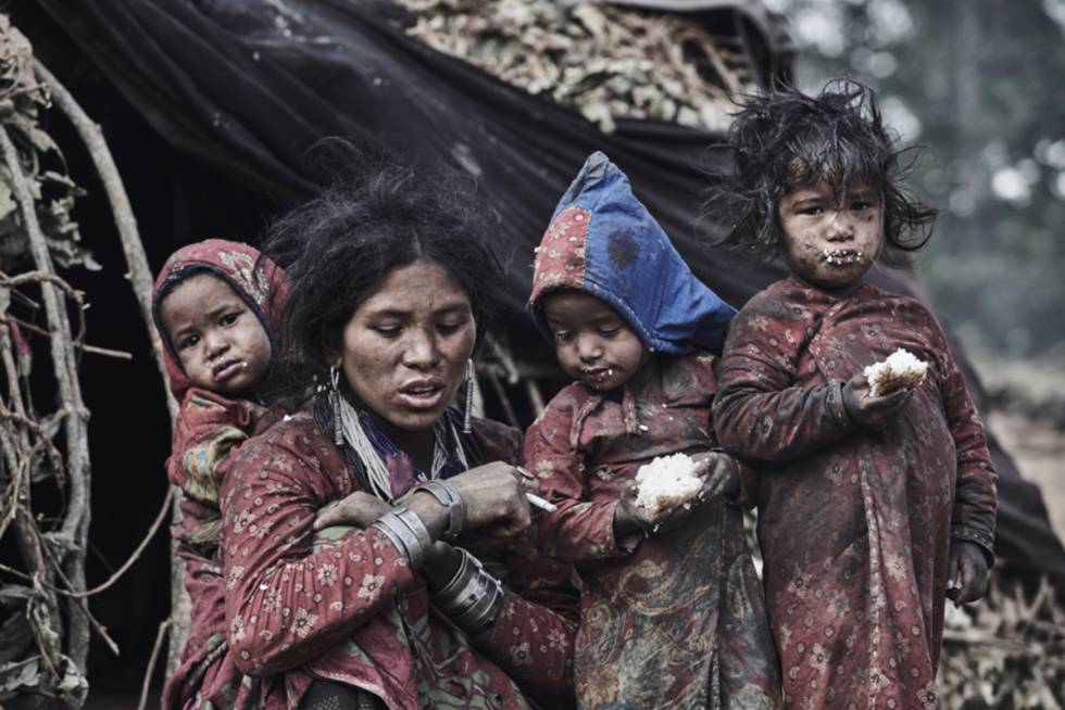 Los reyes de los bosques del Himalaya