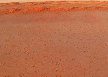 Resuelto el misterio de los círculos de hadas de Namibia