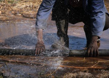 ¿Y el agua que comemos? ¿Y el agua que comemos?