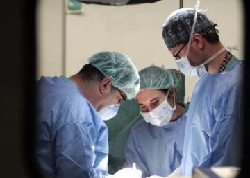 Mulher sobrevive sem pulmões por seis dias à espera de transplante Mulher sobrevive sem pulmões por seis dias à espera de transplante