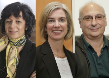 Premiados los padres del ‘cortapega’ genético Premiados los padres del ‘cortapega’ genético