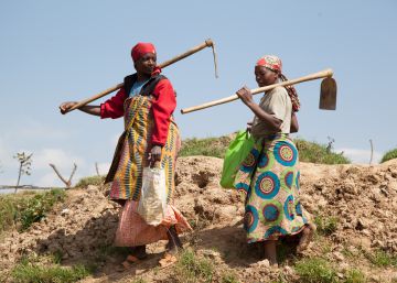 Cómo aliviar la sequía en África Cómo aliviar la sequía en África