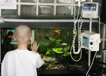 ¿Por qué no evitamos el cáncer de nuestros hijos?