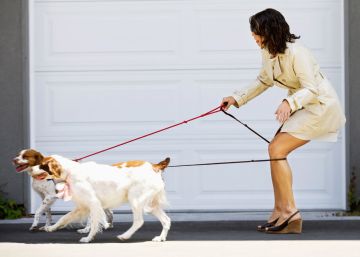 ¿Paseo con el perro o él me pasea a mí?