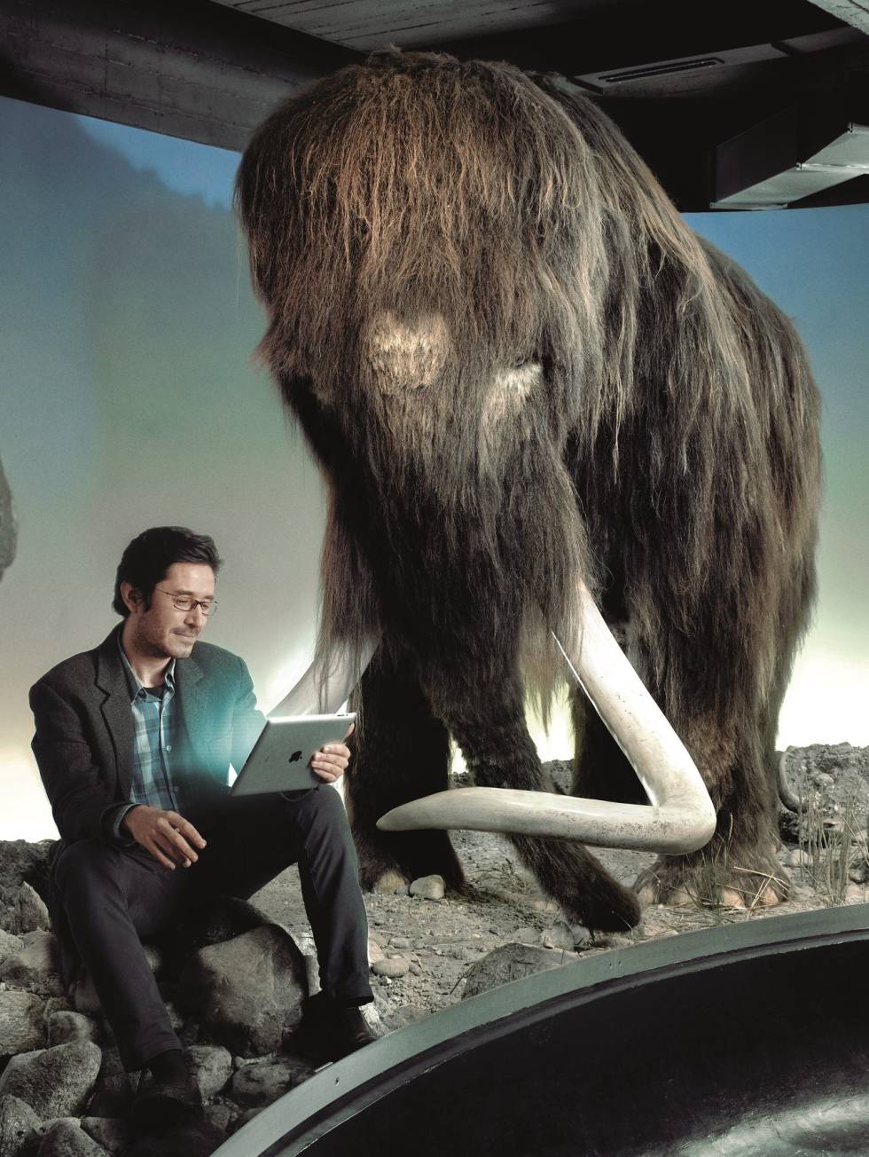 Nogués-Bravo, junto a un mamut en el Museo de Historia Natural de Dinamarca.