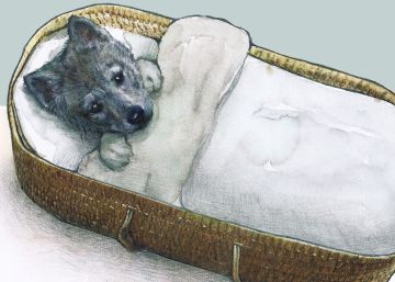El lobo es un hombre para el hombre El lobo es un hombre para el hombre
