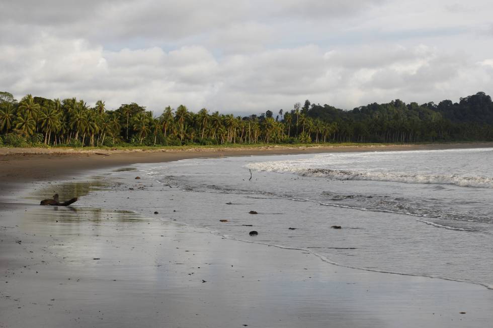 Playa de Jurubirá a la que llegan 'pacas' de droga durante la madrugada. 