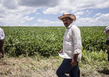 La codicia por la tierra en Paraguay La codicia por la tierra en Paraguay