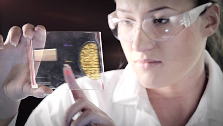 Una científica analiza la estructura del ADN.rn Una científica analiza la estructura del ADN.rn