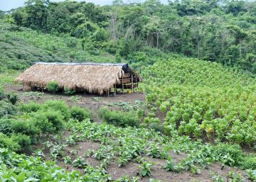 Construyendo la paz en Colombia desde El Salado Construyendo la paz en Colombia desde El Salado