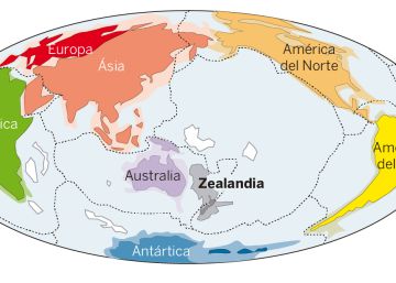 Trobat Zelàndia, un enorme continent submergit al Pacífic