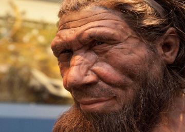 Os neandertais continuam vivos no nosso genoma