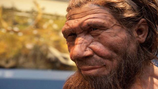 Reconstrucción de un neandertal.