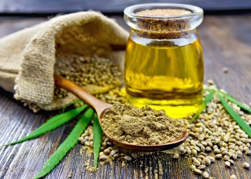 Qué ocurre realmente en nuestro cuerpo cuando consumimos cannabis Qué ocurre realmente en nuestro cuerpo cuando consumimos cannabis